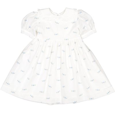 Blue Blossoms Peter Pan Collar Dress