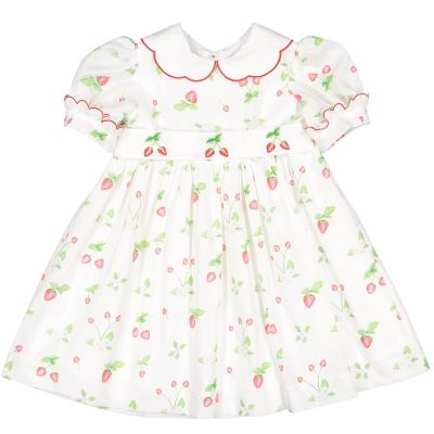 Daisies & Berries Embroidered Dress