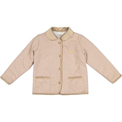 Dachshunds Jacket