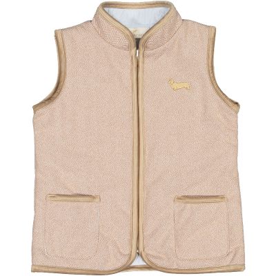 Dachshunds Vest