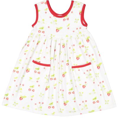 Daisies & Berries A-Line Dress