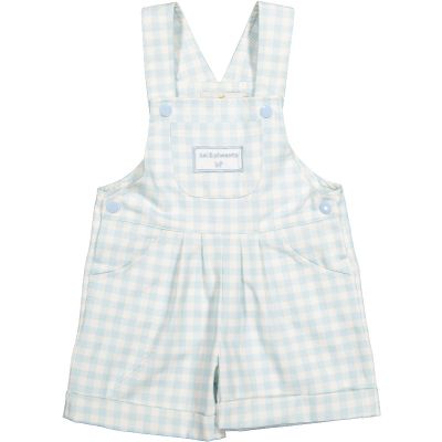  Gingham Blue Overall