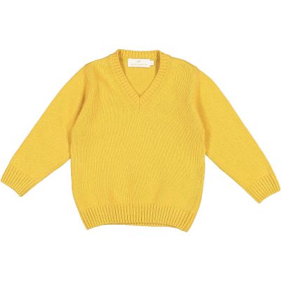 Mustard V-neck Pullover