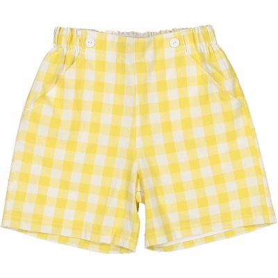 Honey Bees Boy Shorts
