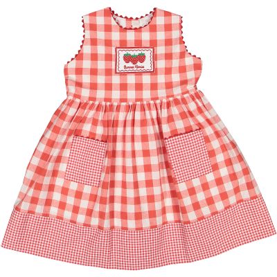 Berries and Bees Gingham Dress