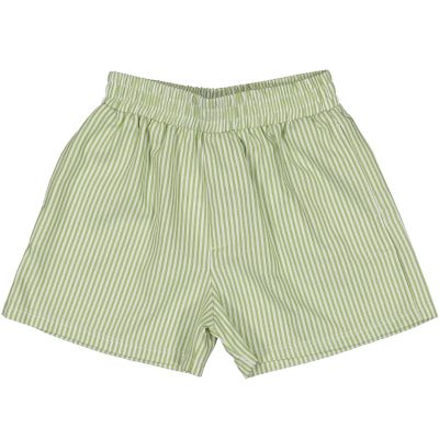 Spring Garden Stripes Pull-ups