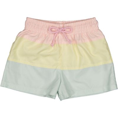 Rainbow Trunks