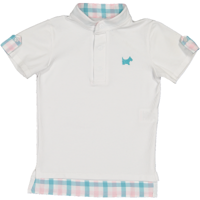 Multicolor Boy Polo