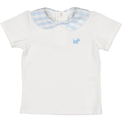 Gingham Galore Blue Peter Pan Polo -2T
