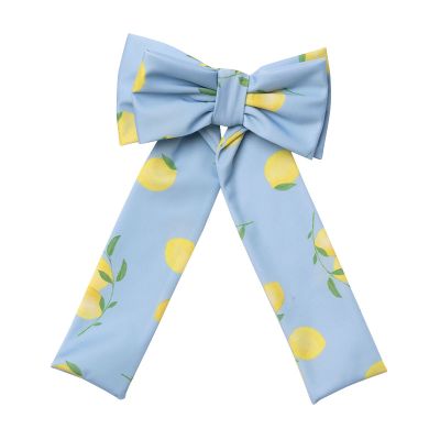 Lemonade Lycra Big Hair Clip
