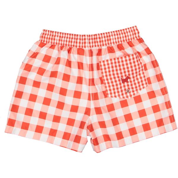Berries and Bees Gingham Trunks