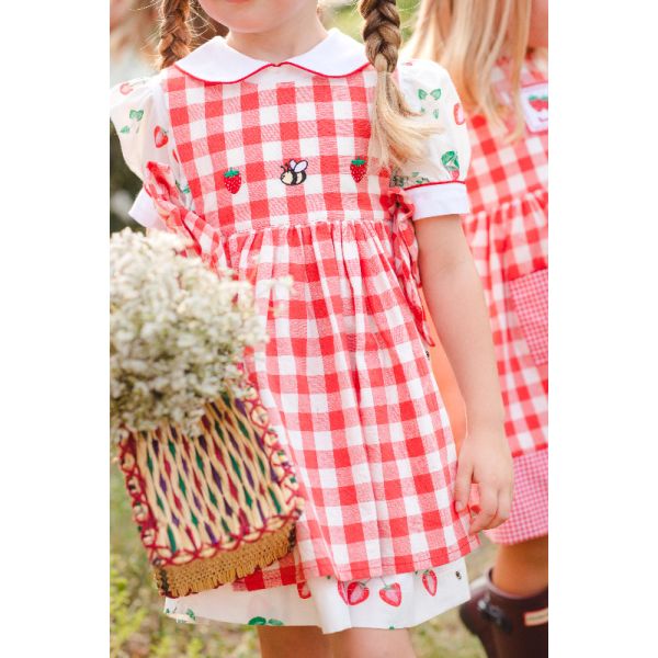 Berries and Bees Apron Dress