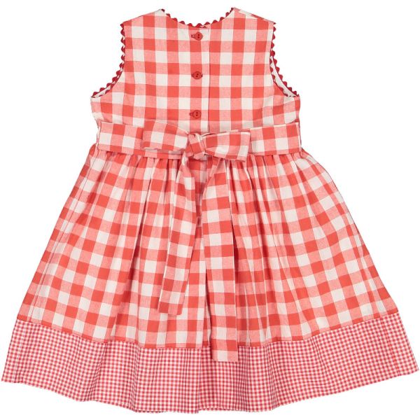 Berries and Bees Gingham Dress